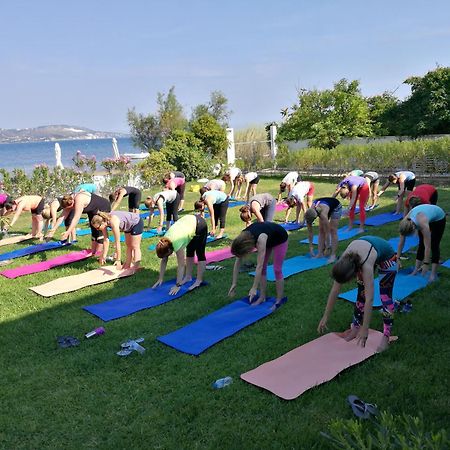 Alekos Beach Houses-Alekos Beach Complex リクスリオン エクステリア 写真